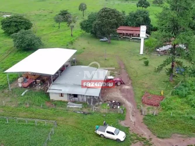 Fazenda 107 alqueires ( 518 hectares) Porangatu - GO