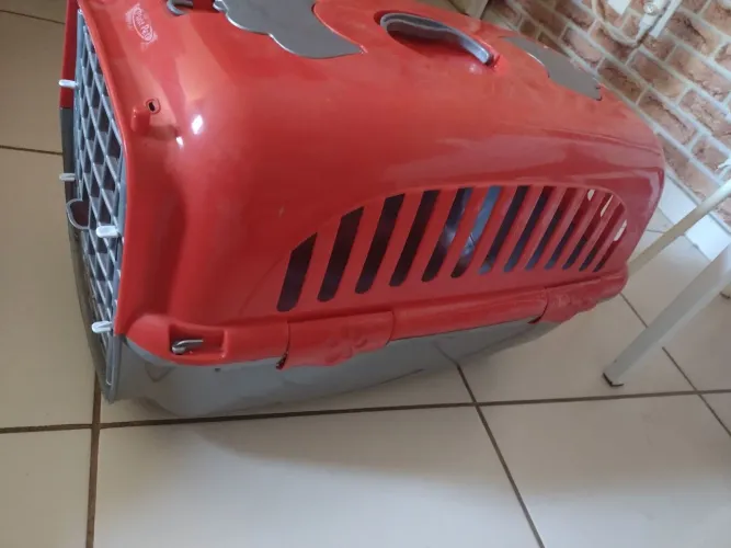 Caixa transporte pet grande