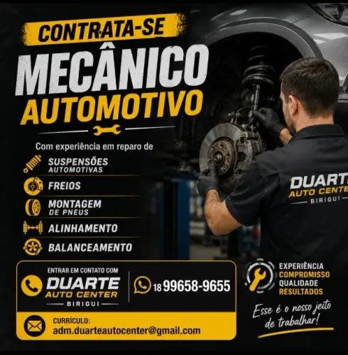 Mecânico automotivo 