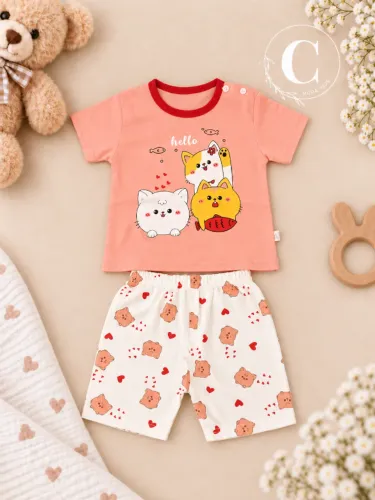 Conjunto Infantil Menina Gatinhos 100% Algodão 2-3 anos