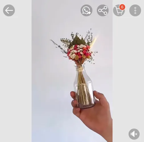 Vendo garrafa