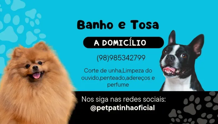 Banho e Tosa a domicílio 