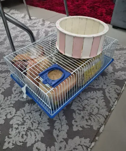 Gaiola para Hamster + Roda de Madeira + Feno, Serragem e Semente