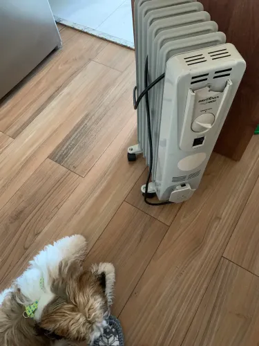 Vendo um aquecedor da Britânia termostato 80 reais