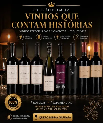 Vinhos Argentinos 