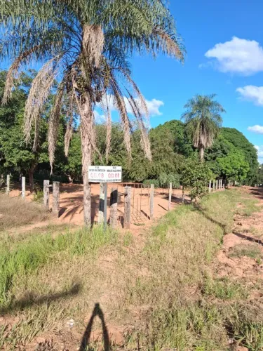 Terreno