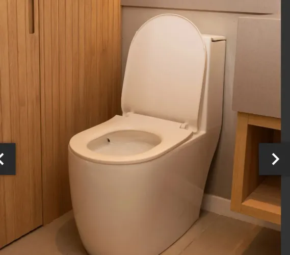 Venda de vazo sanitário monobloco amazonita da pingoo