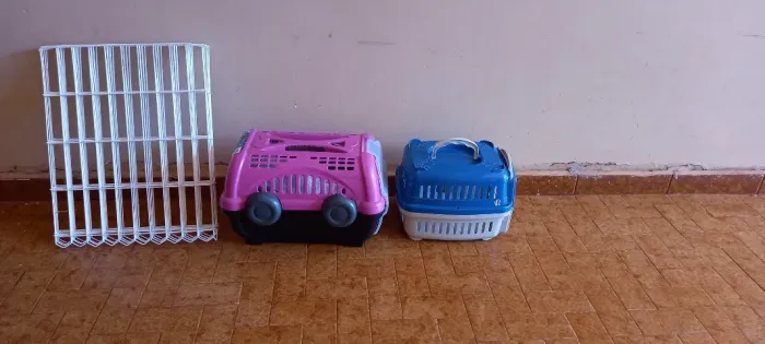 Cesto de transporte para pet