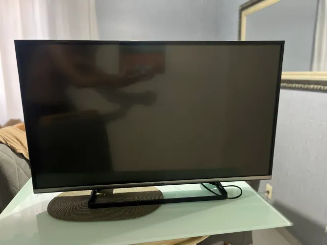 Vendo TV Panasonic (COM DEFEITO)