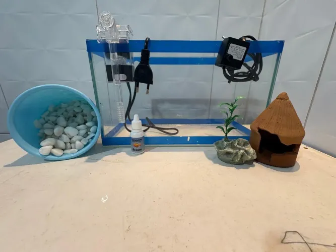 Aquário com duas bombas e uma com filtro ,anticloro,pedras de decoração, planta e casa