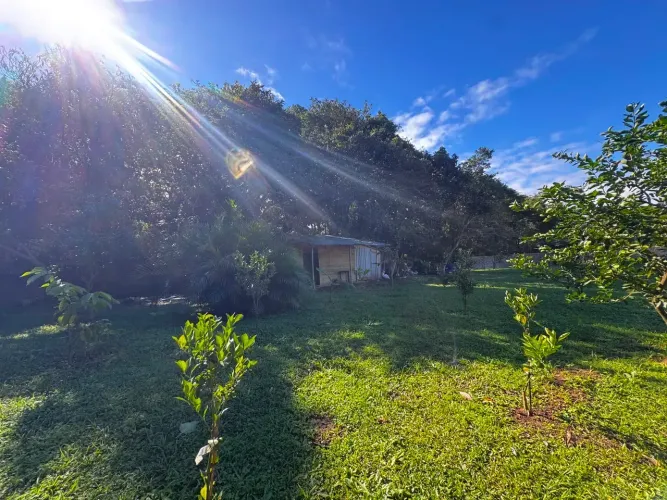 TERRENO EXCLUSIVO À VENDA  ENSEADA DO BRITO | PALHOÇA/SC