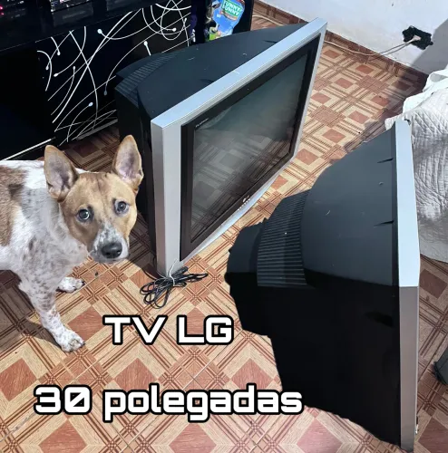 TV LG 30 polegadas (usada)