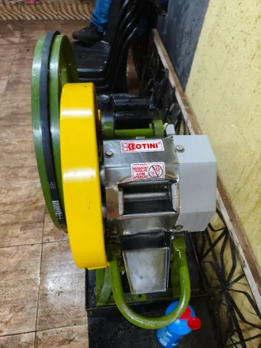 Moenda de Cana Borini com Motor de 2 CV - Ideal para Caldo de Cana