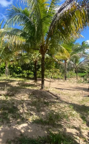 Vendou ou Troco Terreno 6x17 - Pov Aguada