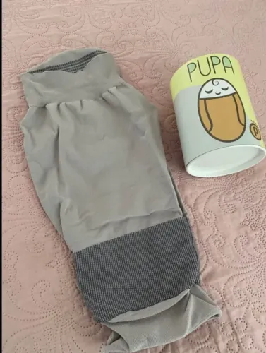 Pupa 