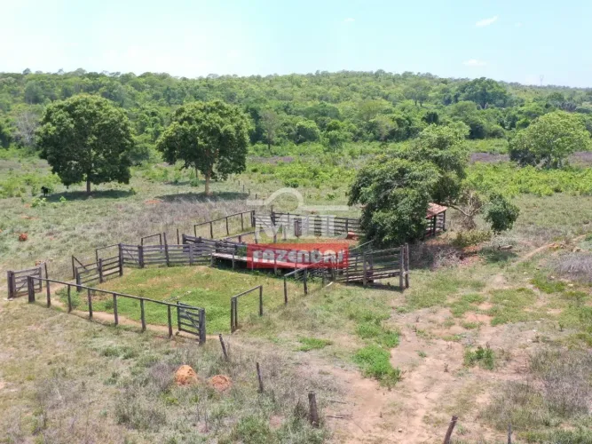 Fazenda na Região de Palmeirópolis-TO. Área Total: 55 Alqueires (266 Hectares).