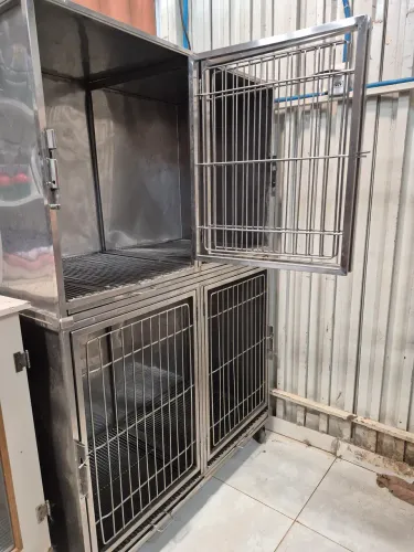 Canil veterinário em Inox