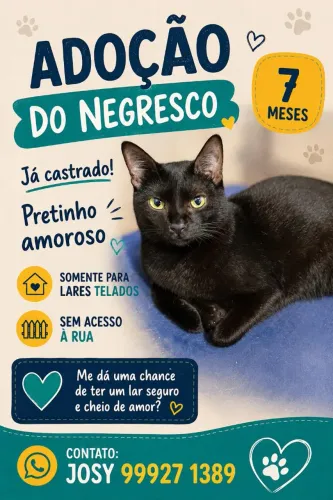 PRETO LINDO