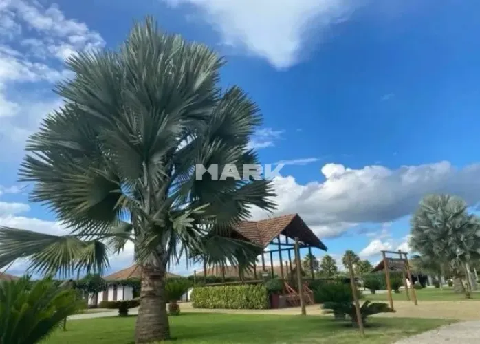 Lote no Haras Camping Club