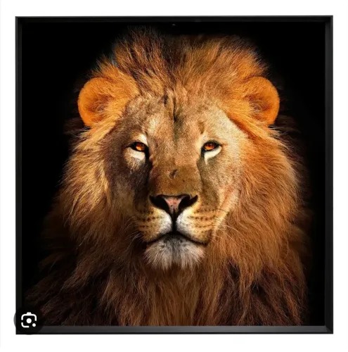 QUADRO LEÃO LEROY MERLIN 