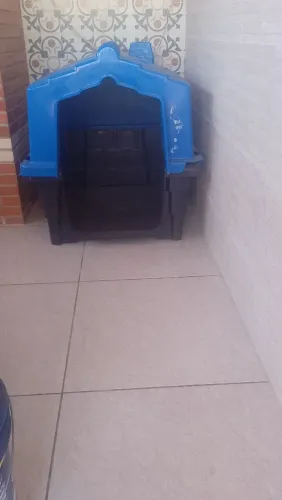 Casinha de cachorro grande
