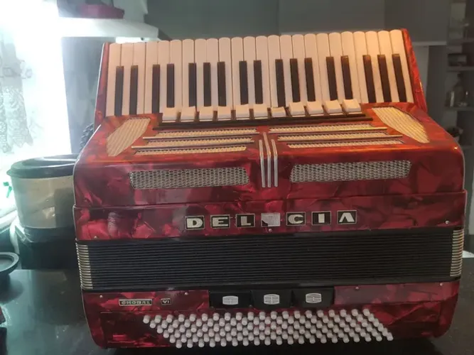 Sanfona Acordeon Dupla ressonância, quarta de voz 11 registros e 3