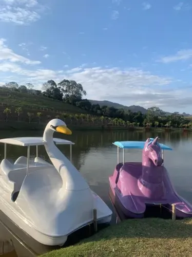 Pedalinho direto de fabrica - pedalinho cisne, pedalinho jacaré, americano, tradicional 