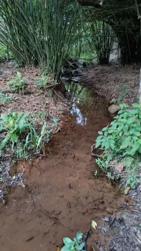 5 hectares em mateus leme