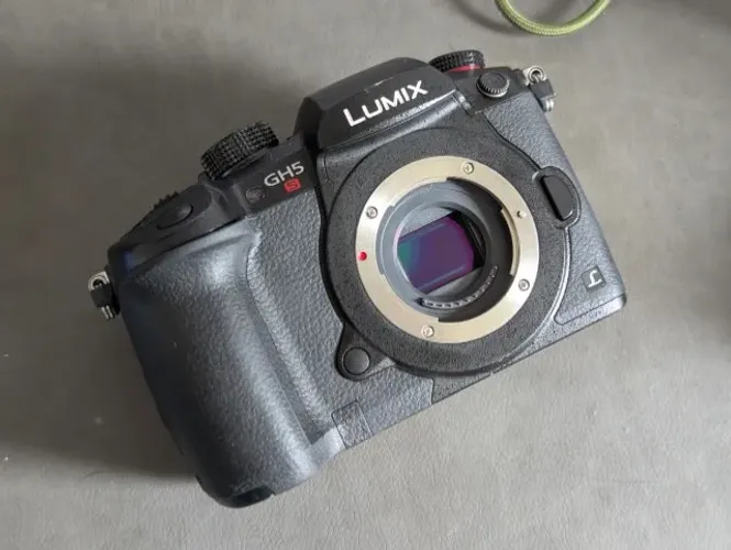 Panasonic GH5s