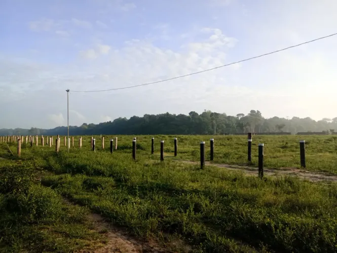 Fazenda para venda tem 125 hectares, 100 hectares de pastos Braquiária