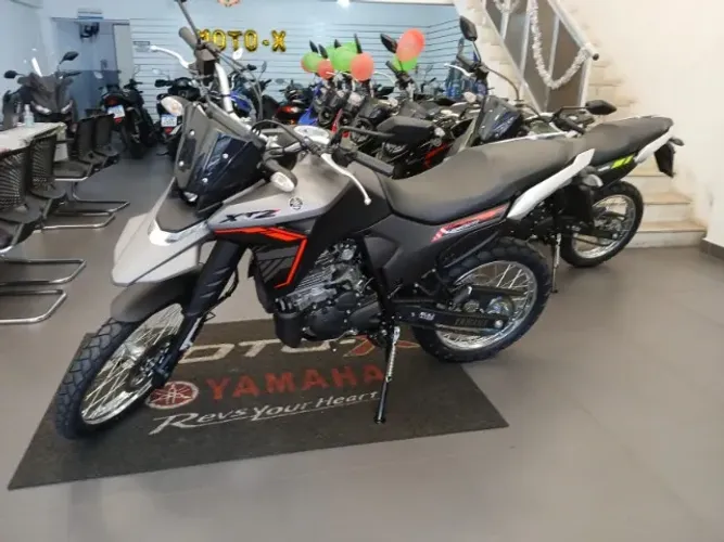 LANDER 250CC  25/26 - Alexandre Yamaha