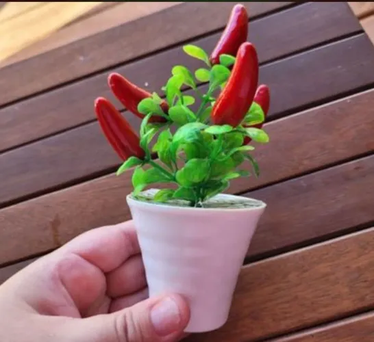 Vasinho de Pimenta 