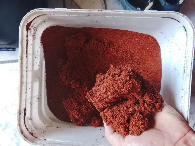 Terracota para aquario 