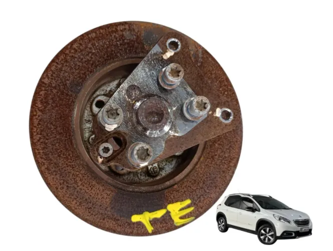 Montante Disco Freio Traseiro Esquerdo Peugeot 2008 2019