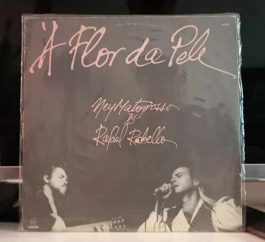Disco de vinil Ney Matogrosso e Rafael Rabello