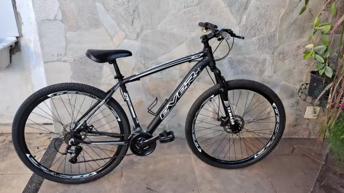Bicicleta everest aro 29