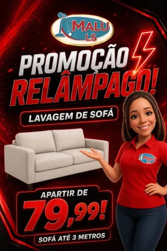 LAVAGEM A SECO! PROMOÇÃO ESSA SEMANA! 79,99! LAVA SOFÁ, COLCHÃO, TAPETES E MUITO MAIS!