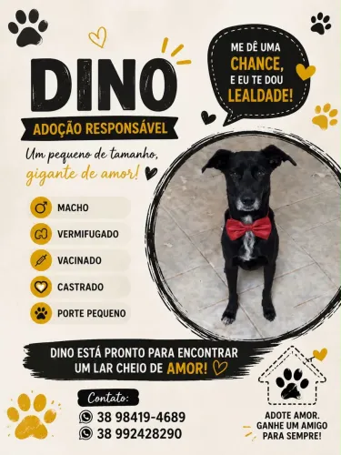 Dino disponível para adoção responsável