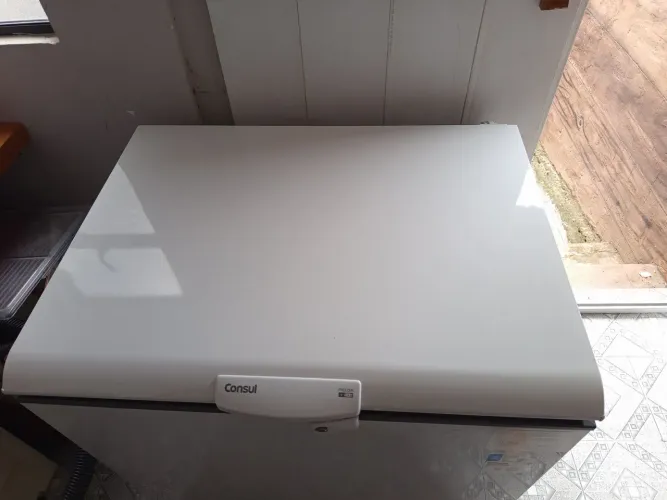 Freezer Consul 307L