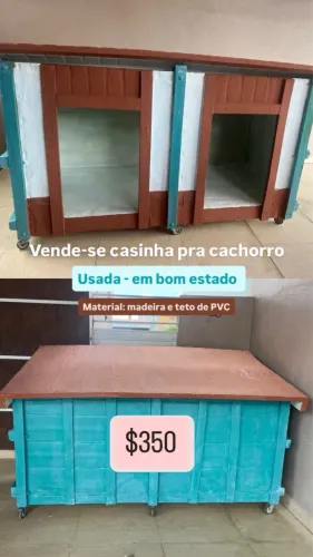 Casinha para cachorro 