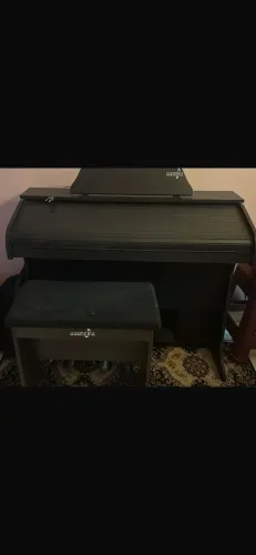 Órgão eletrônico 