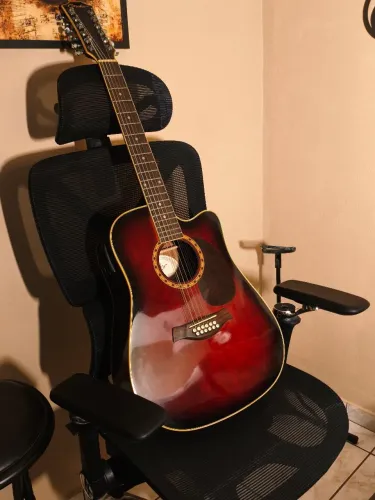 Violão de 12 Cordas (aço) com Hard Case | Sonoridade Encorpada | Cutaway