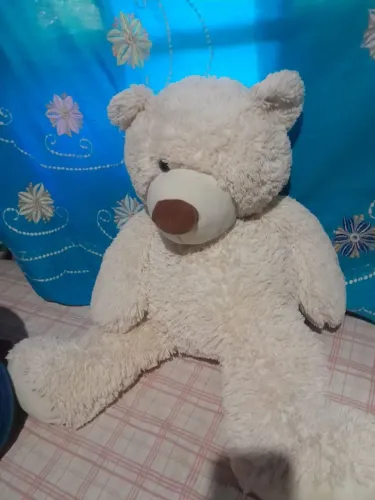 Urso gigante 