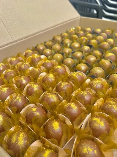 Trufas e pirulitos de chocolate 