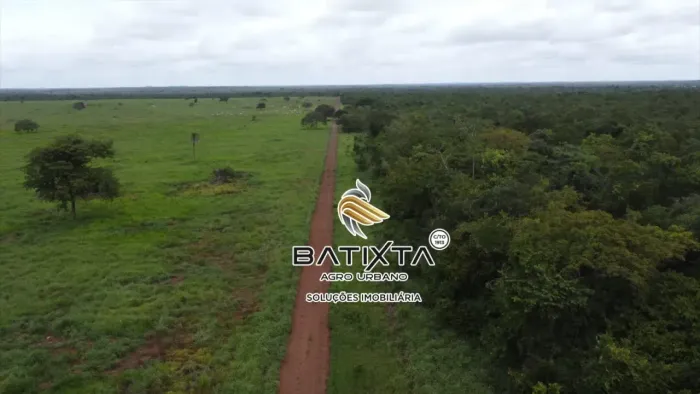 Fazenda 66 Alqueires, 45 km de Divinopolis TO