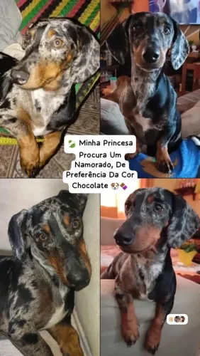 Preciso De Um Namorado