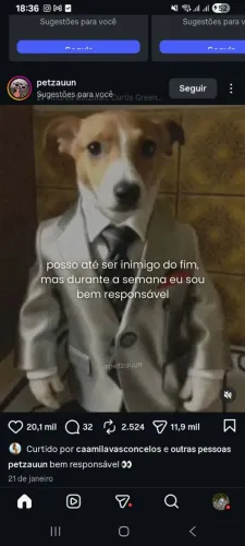 Pet em Casa Banho e Tosa ?