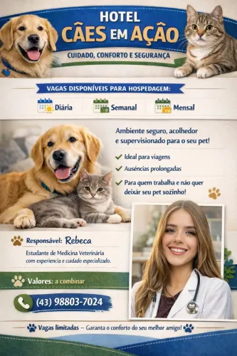 Hotelzinho para animais