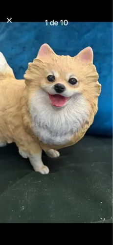 Cachorros Splitz realista em Resina