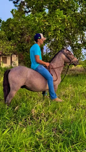 Piquira